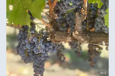 3140 Big Ranch Road, Napa, CA 94558 - Photo 60