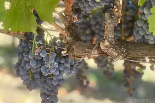 3140 Big Ranch Rd, Napa, CA 94558 - Photo 60