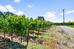 3140 Big Ranch Rd, Napa, CA 94558 - Photo 48