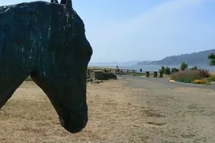 1880 Centro W St, Tiburon, CA 94920 - Photo 76