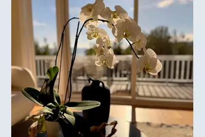 1880 Centro West Street, Tiburon, CA 94920 - Photo 10