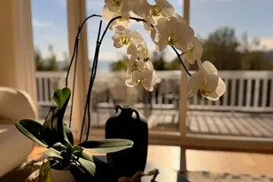 1880 Centro W St, Tiburon, CA 94920 - Photo 10