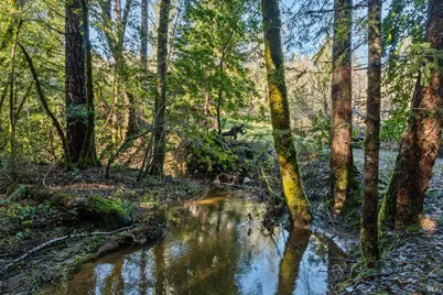 681 Branscomb Road, Laytonville, CA 95454 - Photo 20