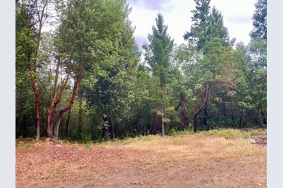 46700 Highway 101, Laytonville, CA 95454 - Photo 4