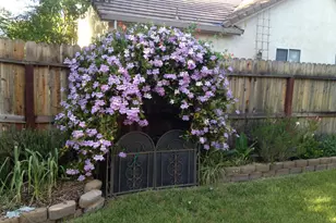 2913 Willow Ct, Fairfield, CA 94533 - Photo 48