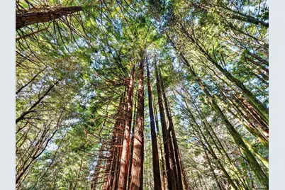 19400 Dorffi Road, Fort Bragg, CA 95437 - Photo 42