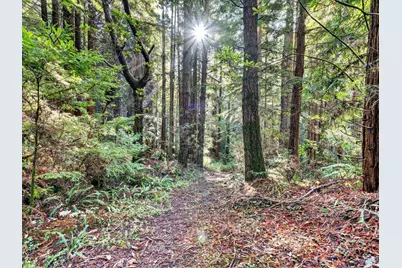 19400 Dorffi Road, Fort Bragg, CA 95437 - Photo 36