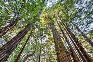 19400 Dorffi Rd, Fort Bragg, CA 95437 - Photo 46