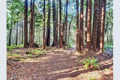 19400 Dorffi Road, Fort Bragg, CA 95437 - Photo 38