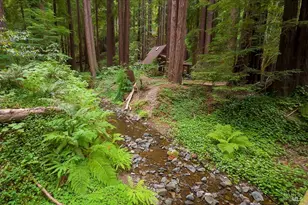 2305 Cazadero Hwy, Cazadero, CA 95421 - Photo 26