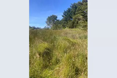 0 Juniper Road, Bolinas, CA 94924 - Photo 1