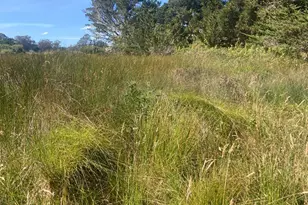 0 Juniper Rd, Bolinas, CA 94924 - Photo 1