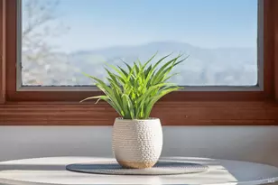 120 Cabro Ct, Novato, CA 94947 - Photo 16