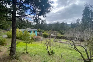 65401 Hwy 271, Leggett, CA 95585 - Photo 48