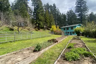 65401 Hwy 271, Leggett, CA 95585 - Photo 44