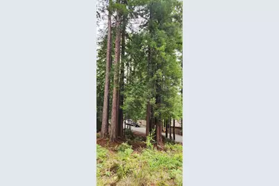 46785 Ocean View Drive, Gualala, CA 95445 - Photo 18