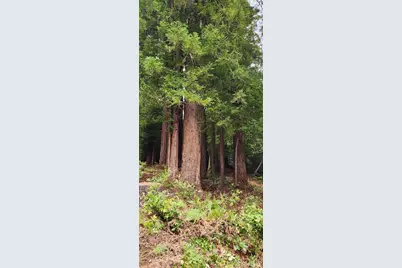 46785 Ocean View Drive, Gualala, CA 95445 - Photo 14