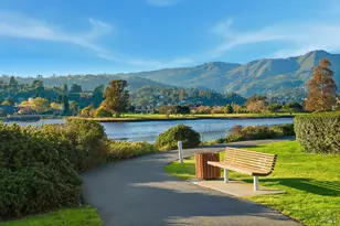 6031 Shelter Bay Ave, Mill Valley, CA 94941 - Photo 48