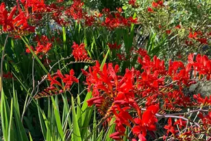 19155 Scenic Dr, Redwood Valley, CA 95470 - Photo 66