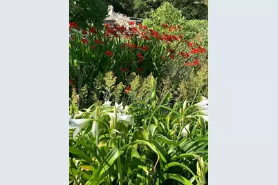 19155 Scenic Drive, Redwood Valley, CA 95470 - Photo 68