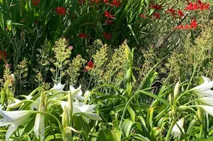 19155 Scenic Dr, Redwood Valley, CA 95470 - Photo 68