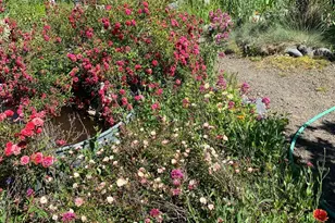 19155 Scenic Dr, Redwood Valley, CA 95470 - Photo 62