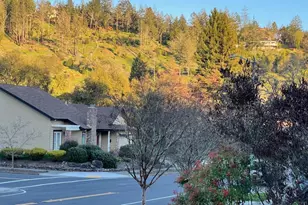 3540 Sleepy Hollow Dr, Santa Rosa, CA 95404 - Photo 44