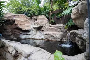 504 Palms Dr, Martinez, CA 94553 - Photo 38