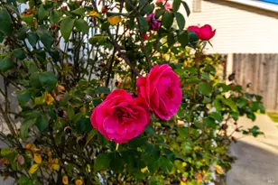 401 Shoveller Dr, Suisun City, CA 94585 - Photo 46