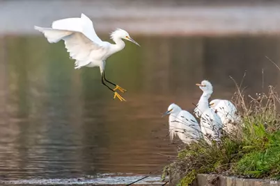 9636 Lakewood Drive, Windsor, CA 95492 - Photo 12