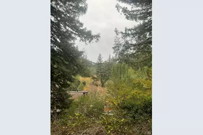 136 Lagunitas Road, Lagunitas, CA 94938 - Photo 4