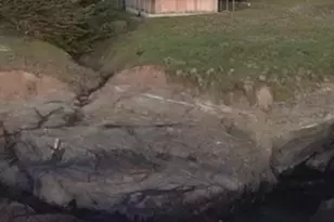 47101 Big Gulch Rd, Gualala, CA 95445 - Photo 8