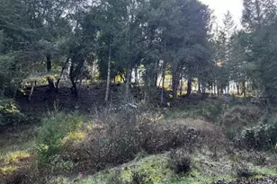 24583 Cypress Dr, Willits, CA 95490 - Photo 1