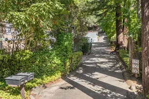 135 Spring Grove Ave, San Rafael, CA 94901 - Photo 74