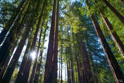 18276 Hwy 128, Calistoga, CA 94515 - Photo 16