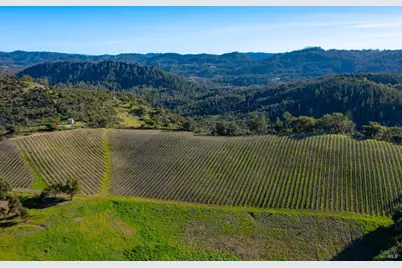 18276 Hwy 128, Calistoga, CA 94515 - Photo 18