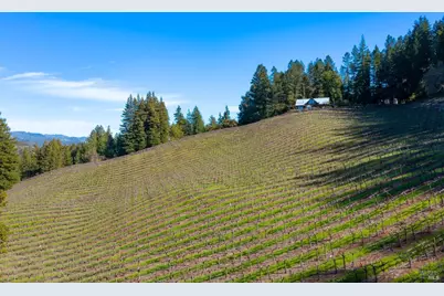 18276 Hwy 128, Calistoga, CA 94515 - Photo 10
