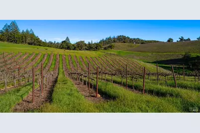 18276 Hwy 128, Calistoga, CA 94515 - Photo 26