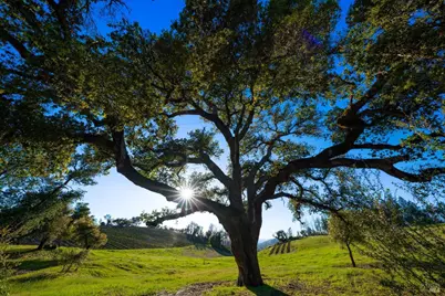 18276 Hwy 128, Calistoga, CA 94515 - Photo 28