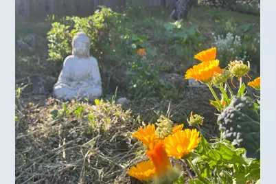 8800 Feliz Creek Drive, Ukiah, CA 95482 - Photo 4