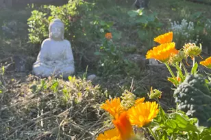 8800 Feliz Creek Dr, Ukiah, CA 95482 - Photo 4