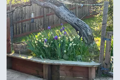 8800 Feliz Creek Drive, Ukiah, CA 95482 - Photo 18