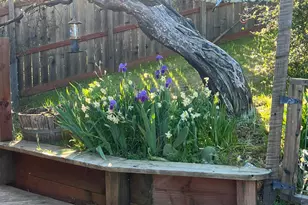 8800 Feliz Creek Dr, Ukiah, CA 95482 - Photo 18