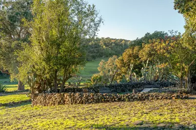 5100 Lovall Valley Road, Sonoma, CA 95476 - Photo 32