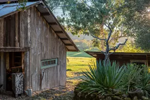 5100 Lovall Valley Rd, Sonoma, CA 95476 - Photo 24