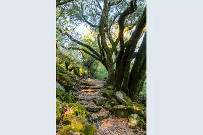 18730 Canyon Road, Sonoma, CA 95476 - Photo 30