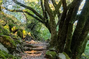 18730 Canyon Rd, Sonoma, CA 95476 - Photo 30