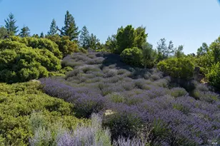 2947 Cavedale Rd, Glen Ellen, CA 95442 - Photo 32