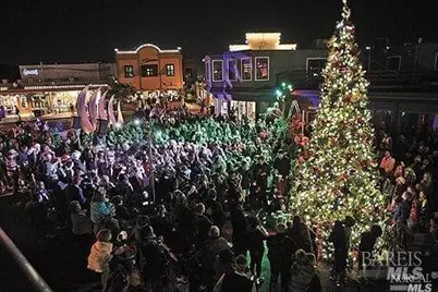 45 Harbor Oak Drive #22, Tiburon, CA 94920 - Photo 56