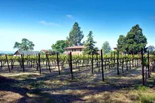 21000 8th St, Sonoma, CA 95476 - Photo 84